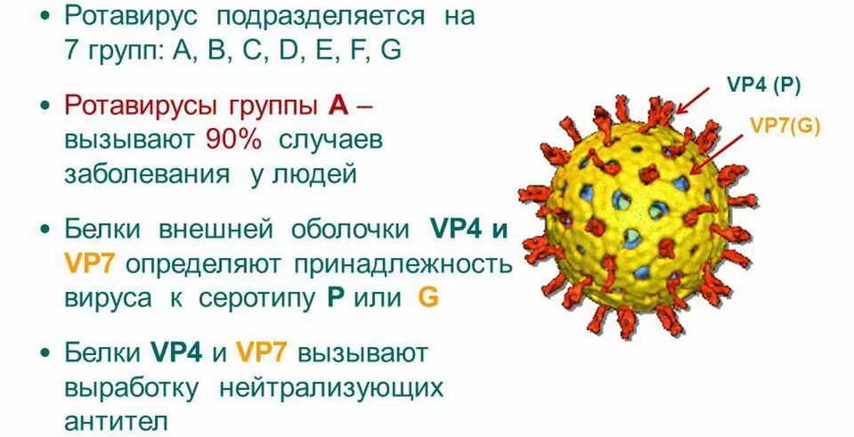 После коронавируса человек заразен